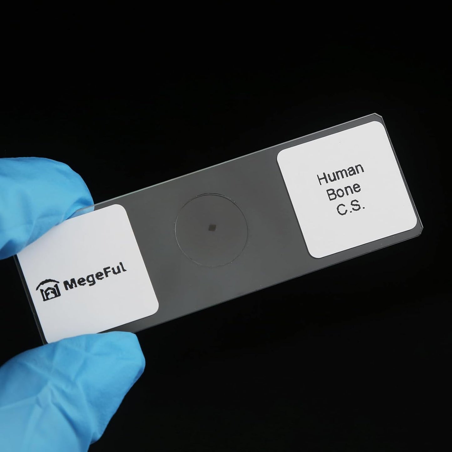 Human Tissue Anatomy Prepared Microscope Slides, 30PCS University Standard Microscope Slides Survey The Major Tissues and Organs of Human Body Dedicated to Histology