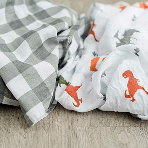 GRACED SOFT LUXURIES 2-Pack Dinosaur Swaddle Blanket Super Soft Luxury Decorative Baby Muslin Swaddle Blankets Wraps (Dinoland)