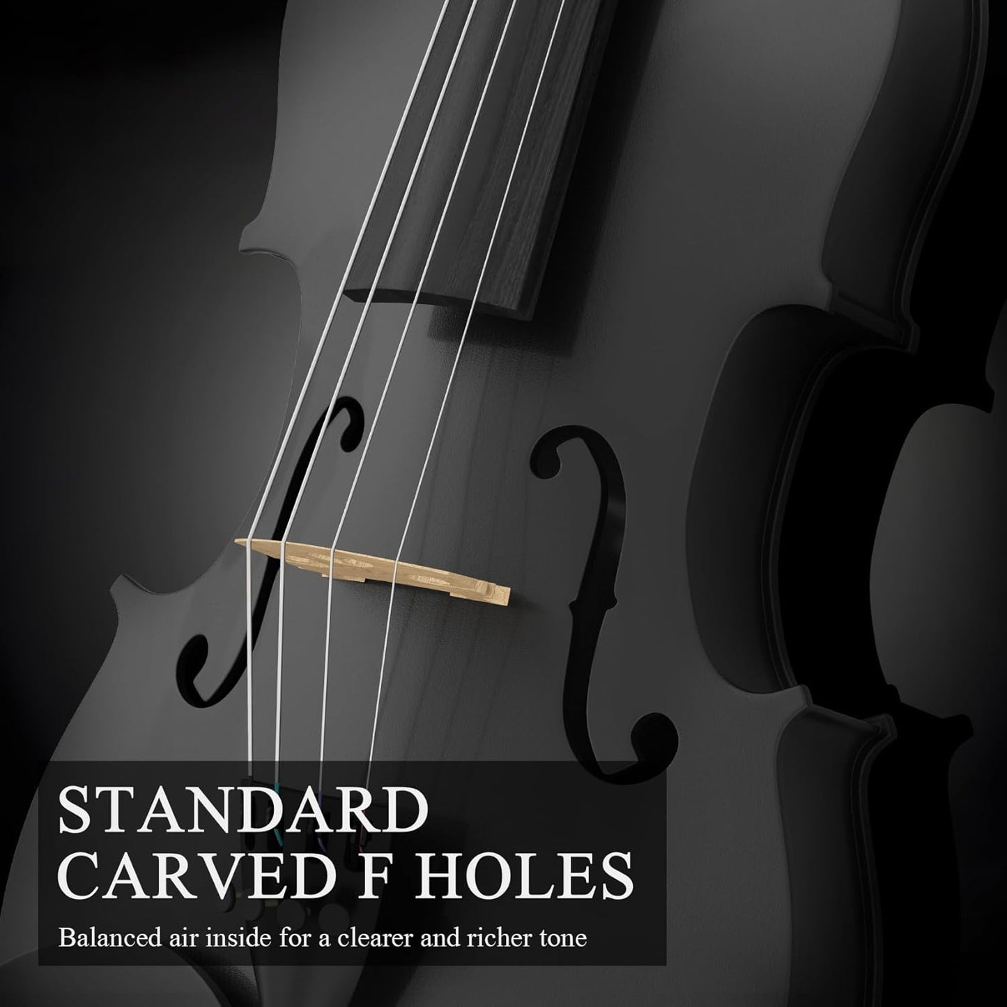 3/4 Violin Kit, Beginner Violin for Kids, Students, Complete Kids Violins Set with Case, Bow, Rosin, Ideal for Kids Violinss Beginner Ages 9-12, Black