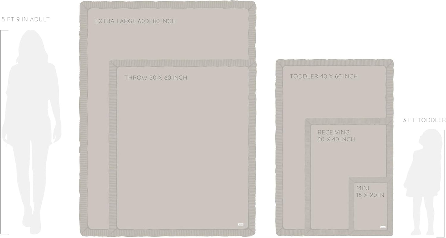 SARANONI Security Blankets for Babies Super Soft Boutique Quality Lush Luxury (Mini 15" x 20", Gray)