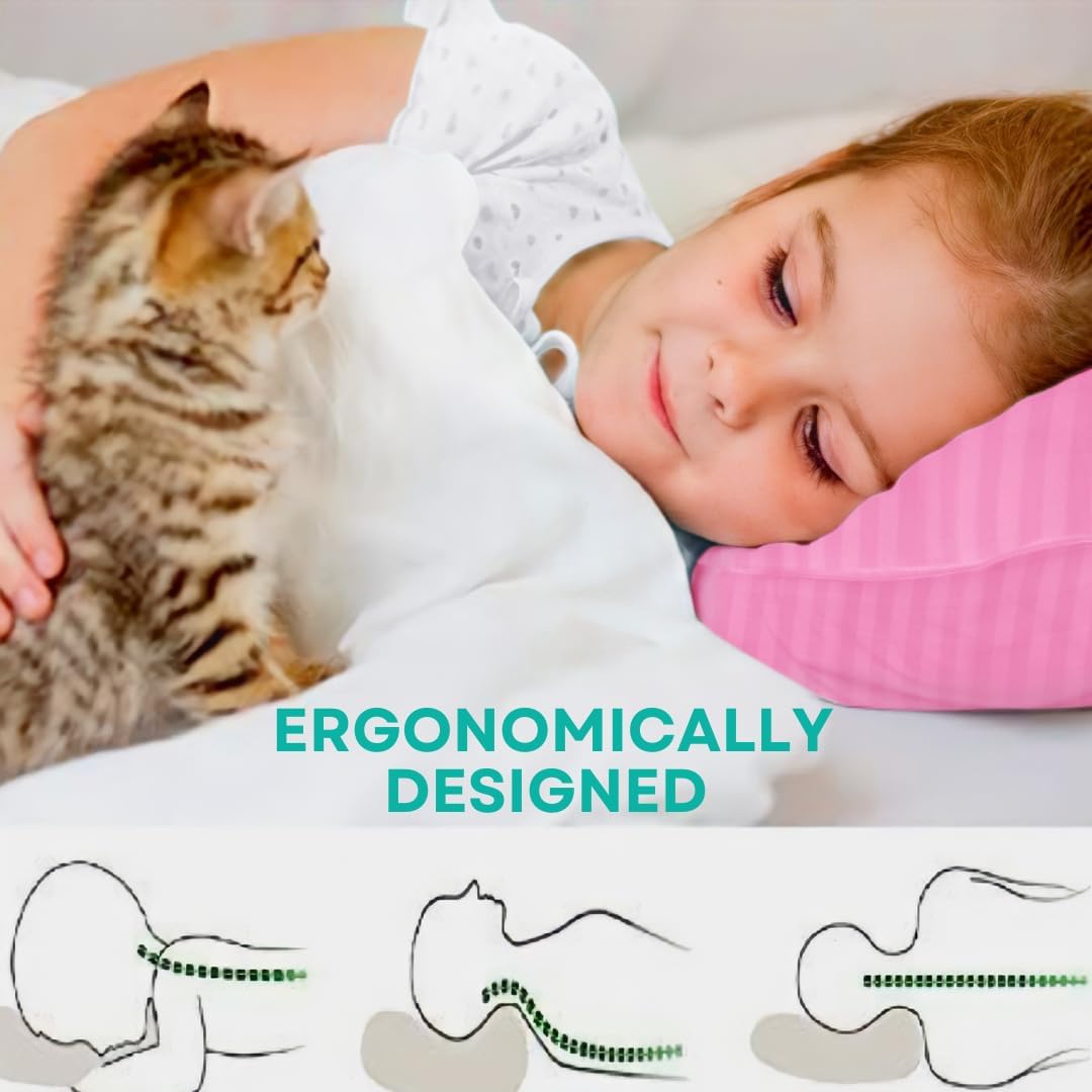 kinder Fluff Toddler Pillow (2-Pack) – The Only 300TC Soft Cotton Pillow with Down Alternative Fill – Hypoallergenic, Machine Washable & Perfect for Kids 2+ Years (13x18in, Pink)