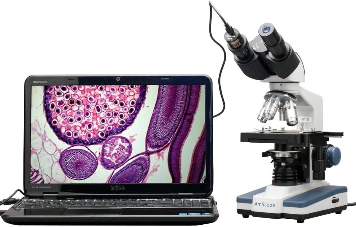 AmScope B120 Series Student & Professional LED Binocular Compound Microscope - 40X-2500X Magnification - Includes 0.3MP USB 2.0 Camera & Siedentopf Head
