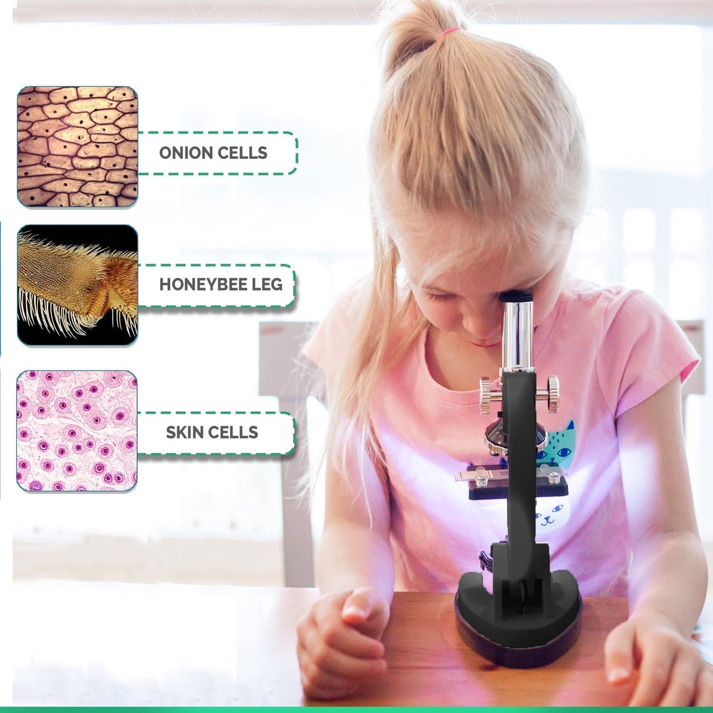 AmScope M30 Series 52-Piece STEM Microscope Kit for Kids - Monocular, Portable Compound Microscope for Kids - Includes Petri Dish, Slides & More - Black