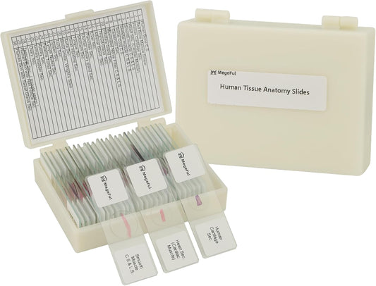 Human Tissue Anatomy Prepared Microscope Slides, 30PCS University Standard Microscope Slides Survey The Major Tissues and Organs of Human Body Dedicated to Histology