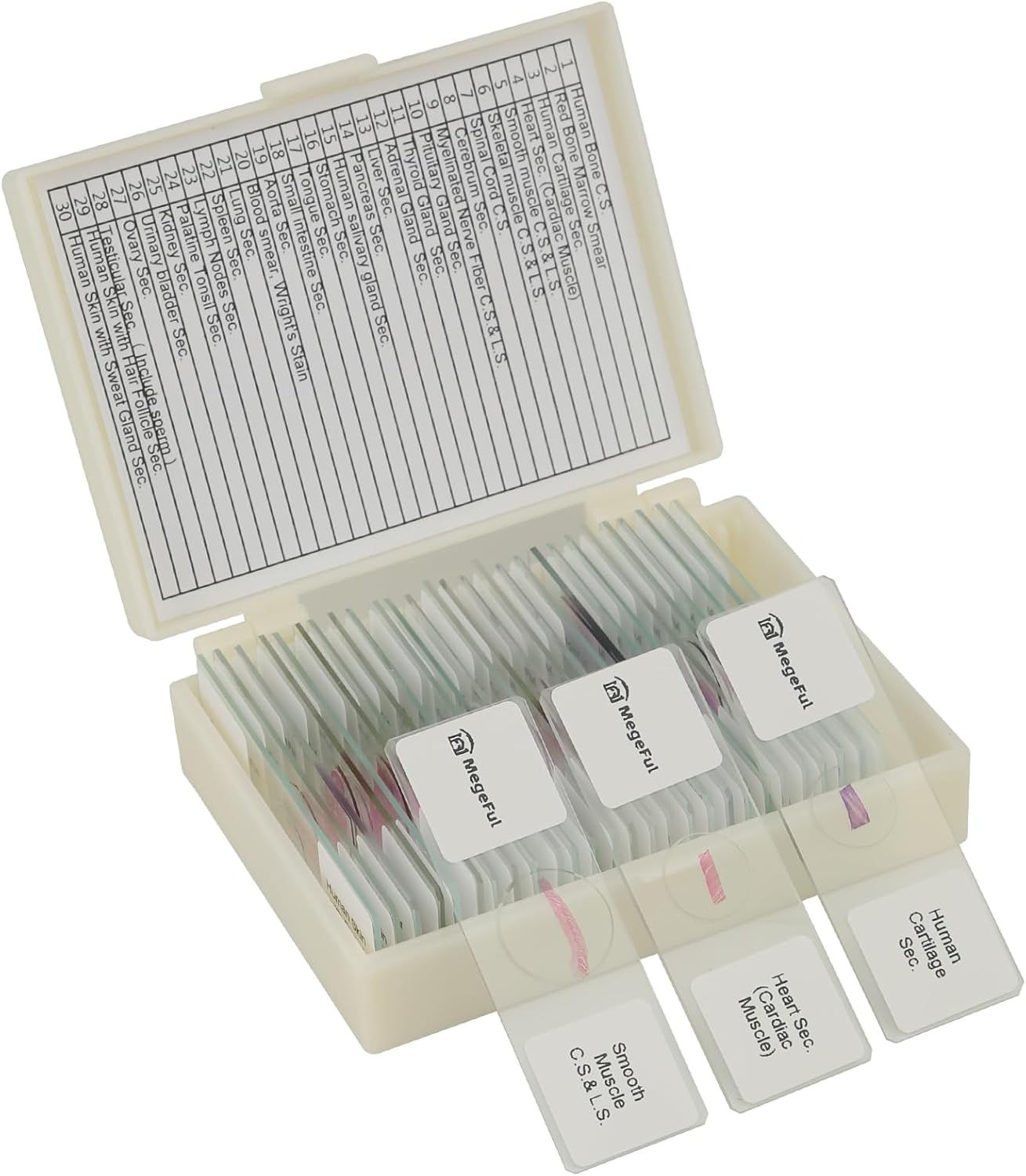 Human Tissue Anatomy Prepared Microscope Slides, 30PCS University Standard Microscope Slides Survey The Major Tissues and Organs of Human Body Dedicated to Histology