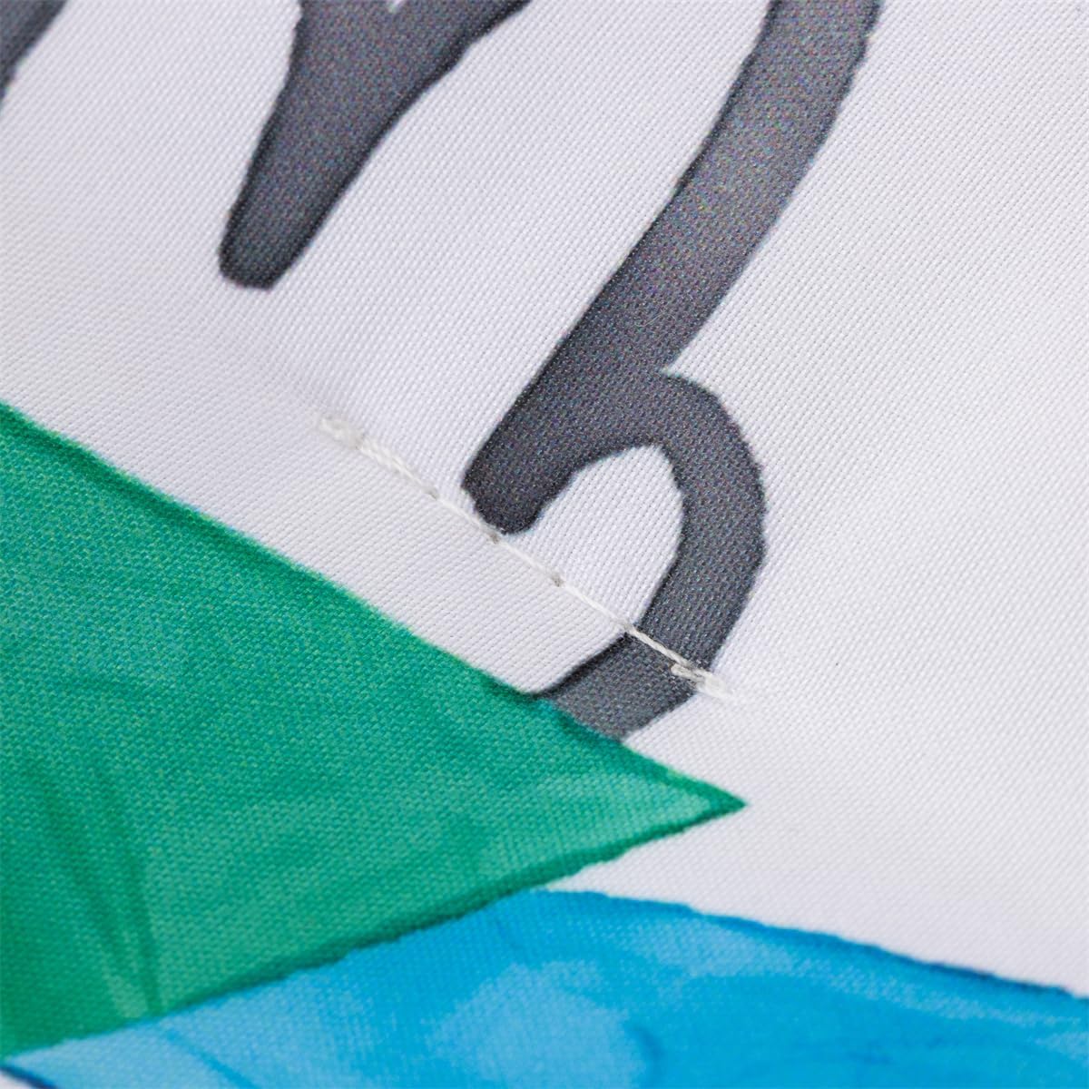 NTBED 4 Pieces Construction Toddler Bedding Set for Baby Boys,Watercolor Truck Vehicles Excavator Cars Printed, Includes Comforter, Flat Sheet, Fitted Sheet and Pillowcase,Multi