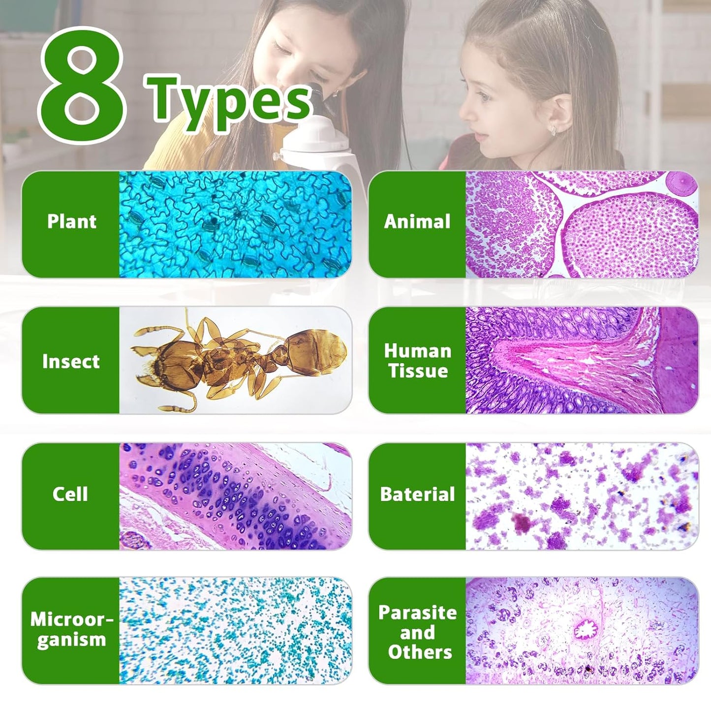 120 Microscope Slides with Specimens,Prepared Microscope Slides for Kids,Glass Slides for Microscope,Prepared Slides for Kids Microscope,Microscope Slide Preparation Kit for Biology Science Classes