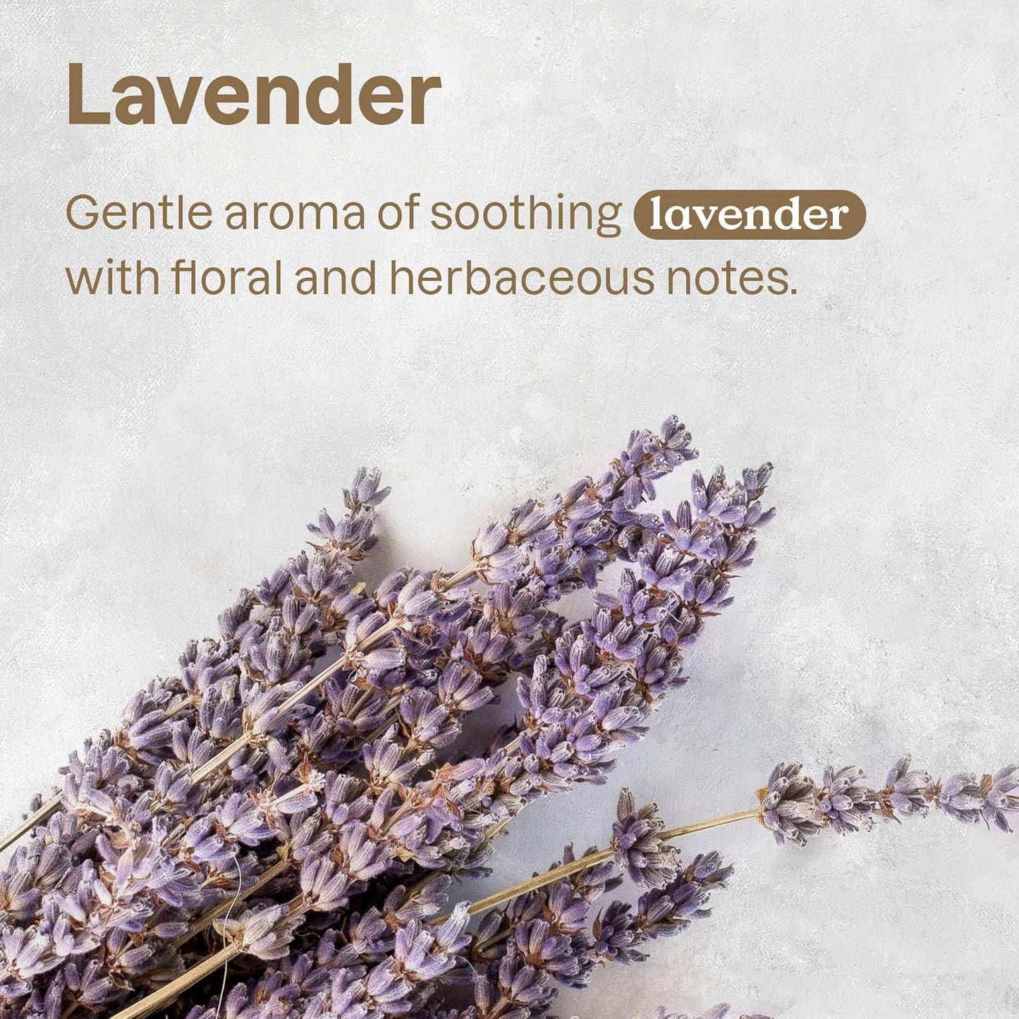 ATTITUDE Air Purifier with Activated Carbon Filter, Plant- and Mineral-Based Ingredients, Traps Pet Odors and Pollutants, Vegan and Cruelty-free, Lavender, 8 Ounces