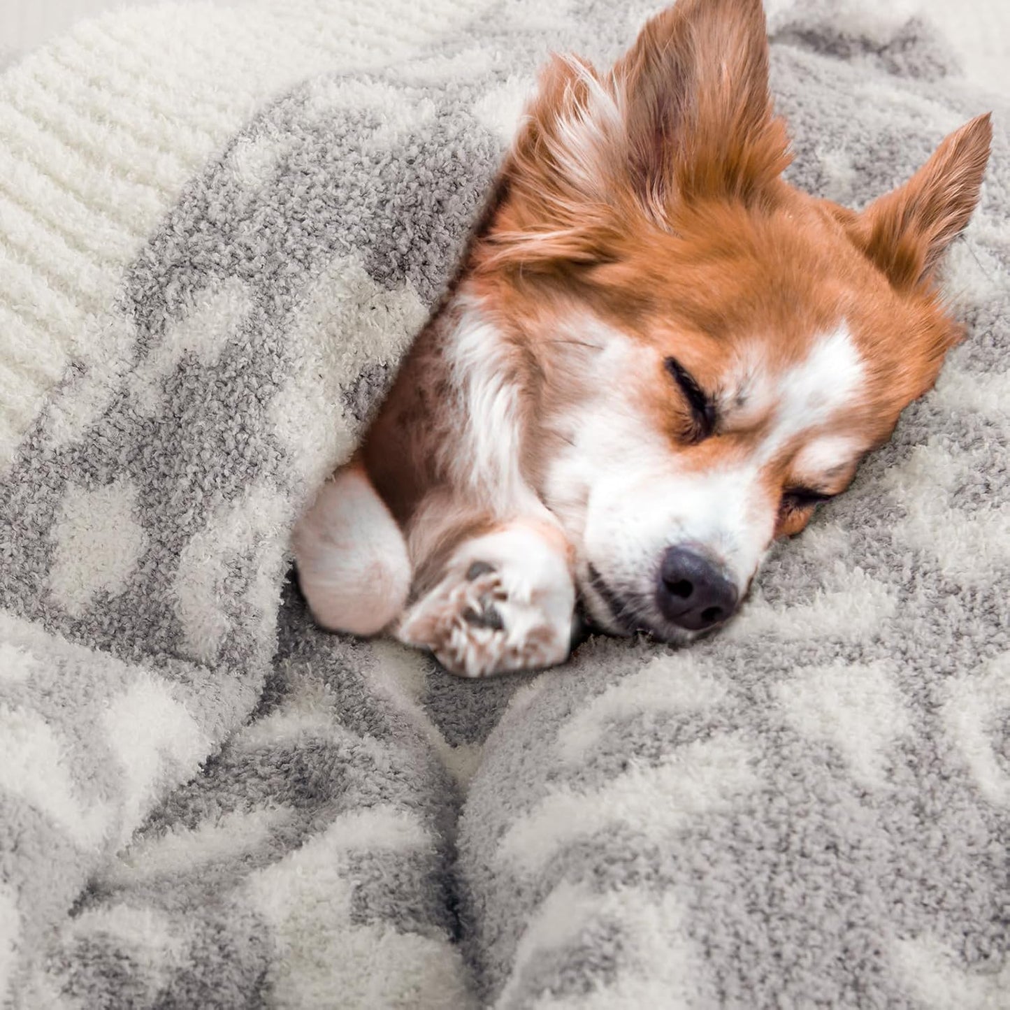 NEXHOME PRO Leopard Soft Blanket Twin Size, Fuzzy Throw Blanket for Couch Bed Sofa Picnic, Knit Blankets for Women Gifts Grey 60 x 80 inches