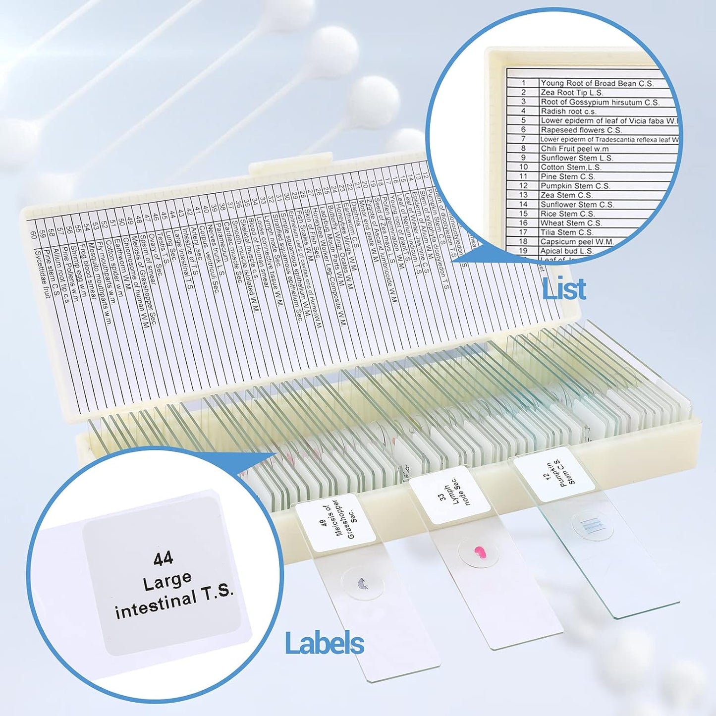 60 Microscope Slides with Specimens for Kids, Prepared Microscope Slides for Kids Microbiology, Prepared Microscope Slides for Adults