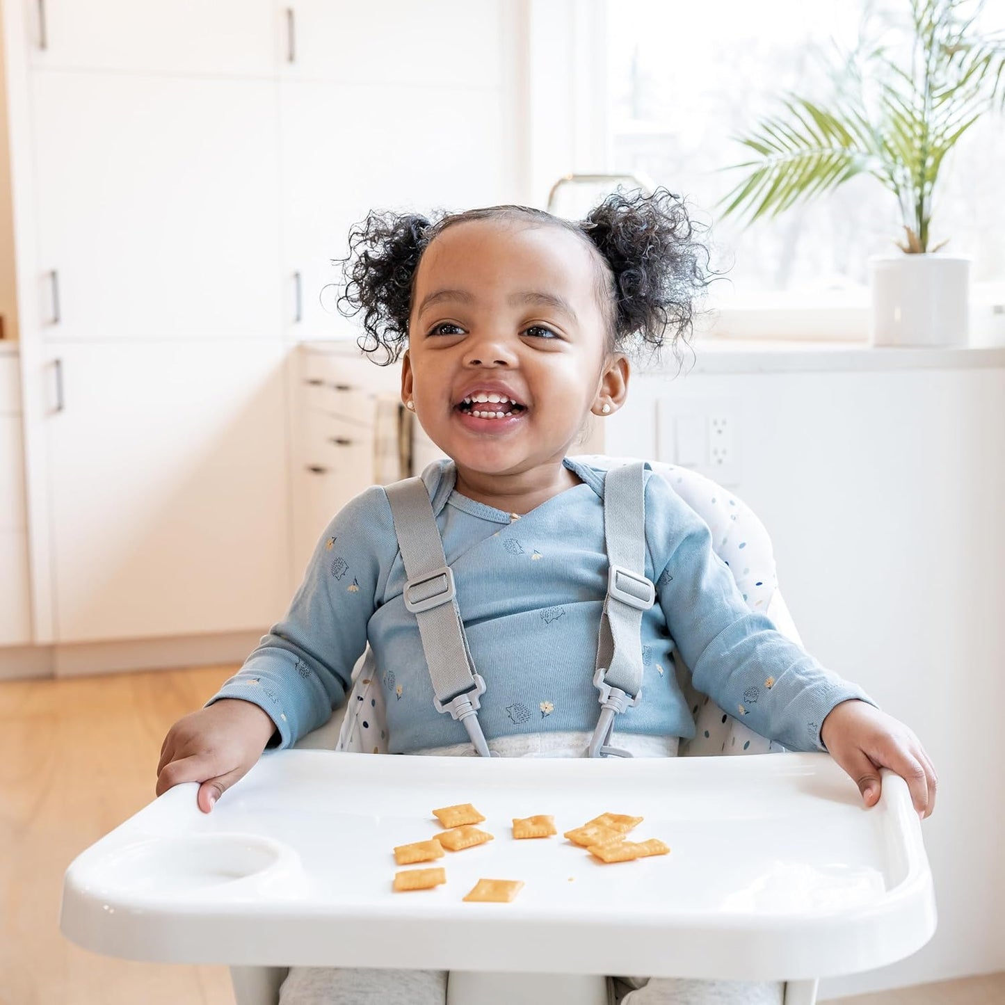 Regalo High Chair with Jelly Bean Seat Pad for Babies and Toddlers, Award Winning Brand, Removable Oversized Tray with Cup Holder, Five Point Harness, White