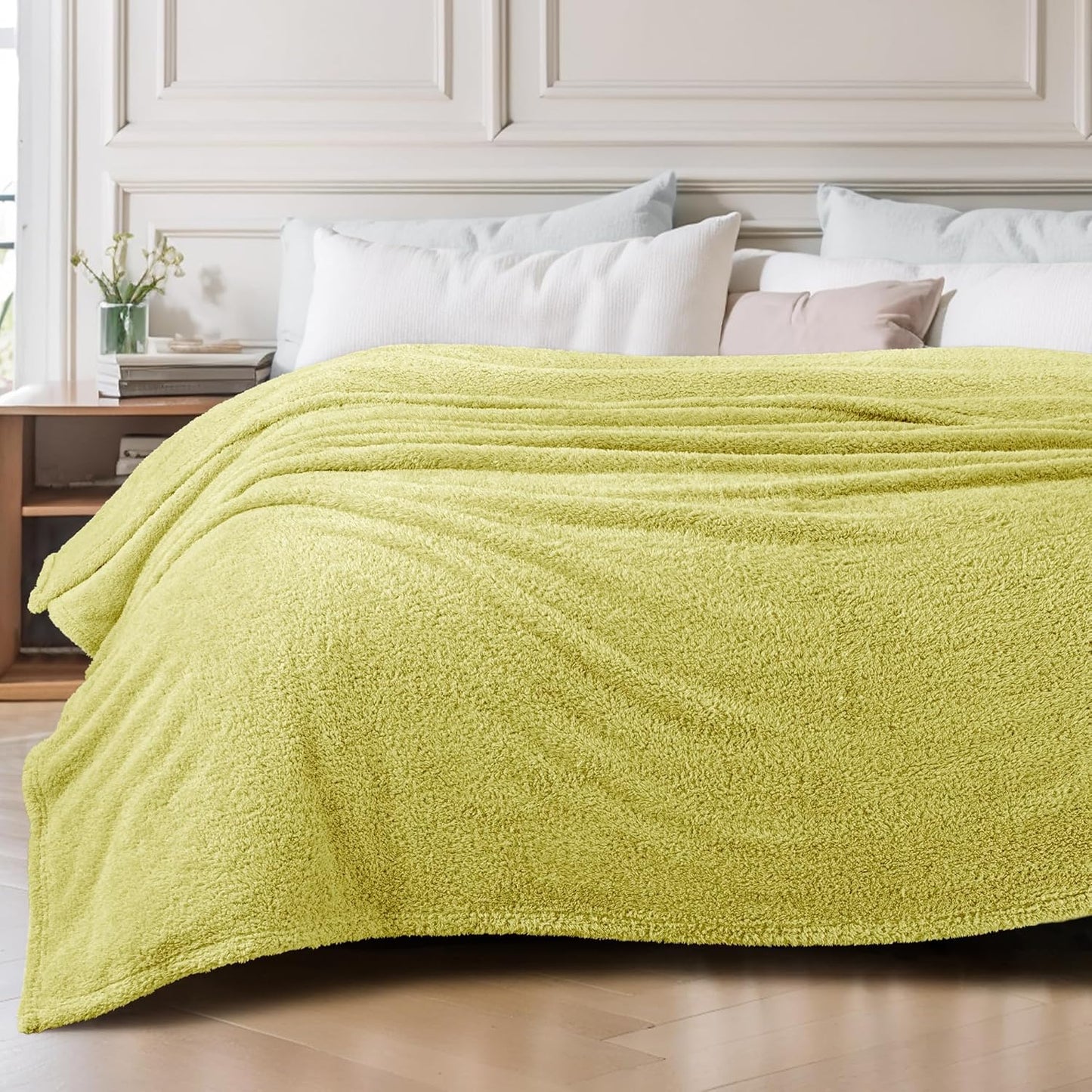Exclusivo Mezcla Fleece Blanket for Couch, Soft and Cozy Queen Blankets for Women Men Girls Kids, Suitable for All Seasons, Light Green, 90x90 Inches